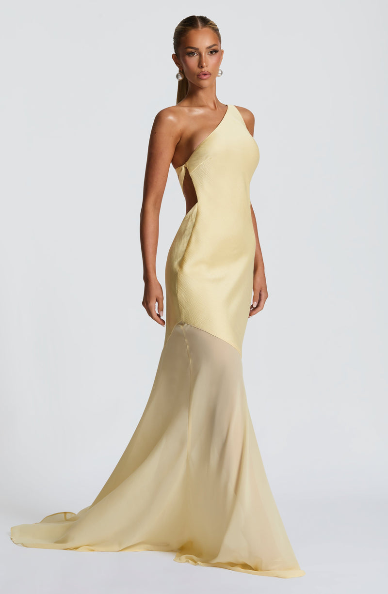 nevaé Fable Gown