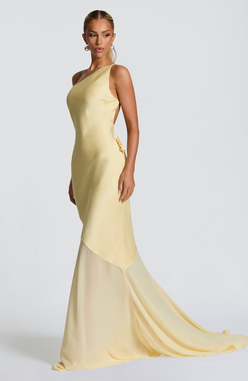 nevaé Fable Gown